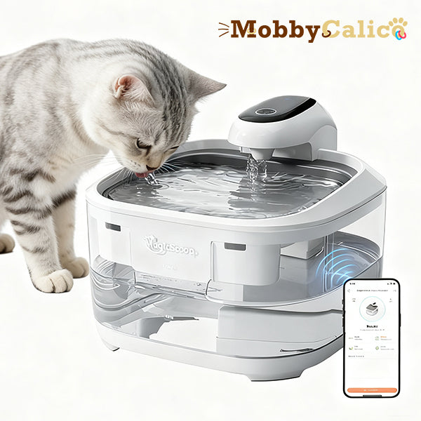 Pet Water Fountain